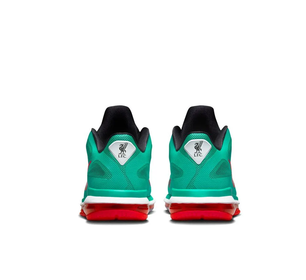NIKE LEBRON IX LOW