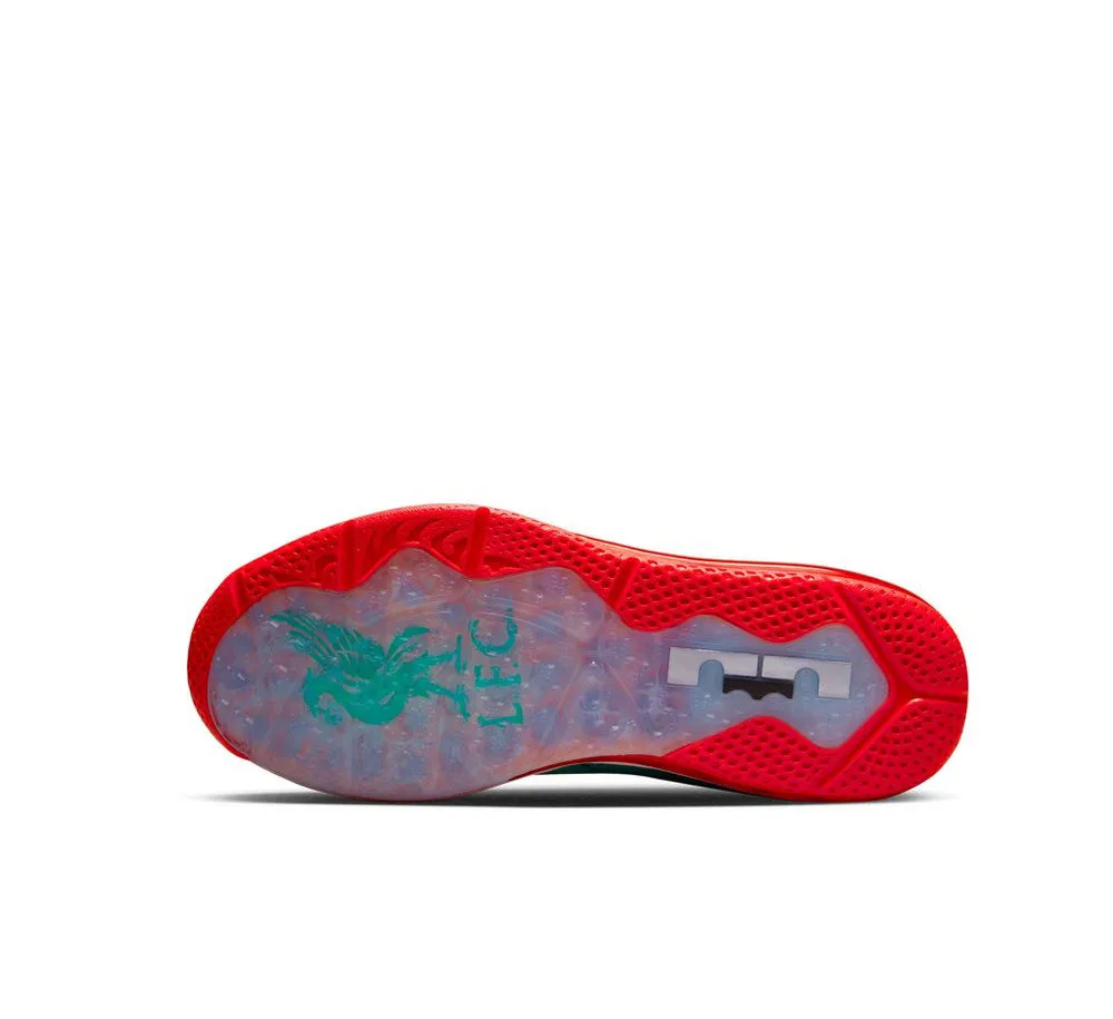 NIKE LEBRON IX LOW