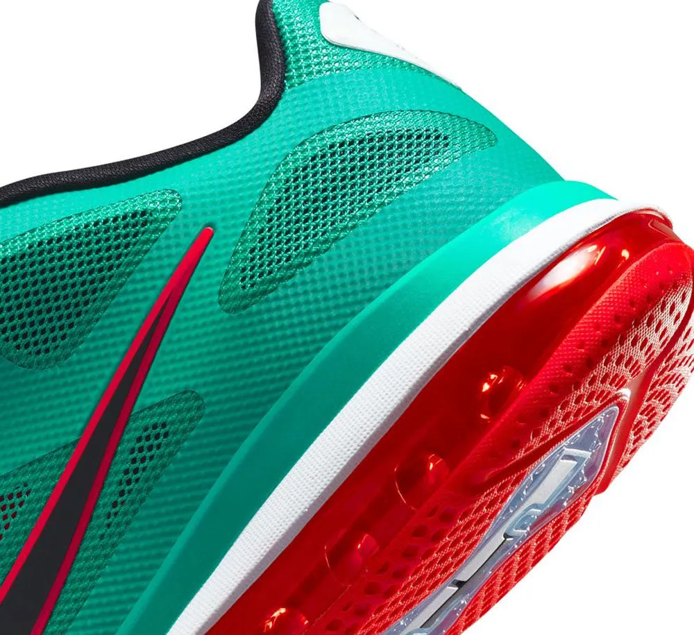 NIKE LEBRON IX LOW