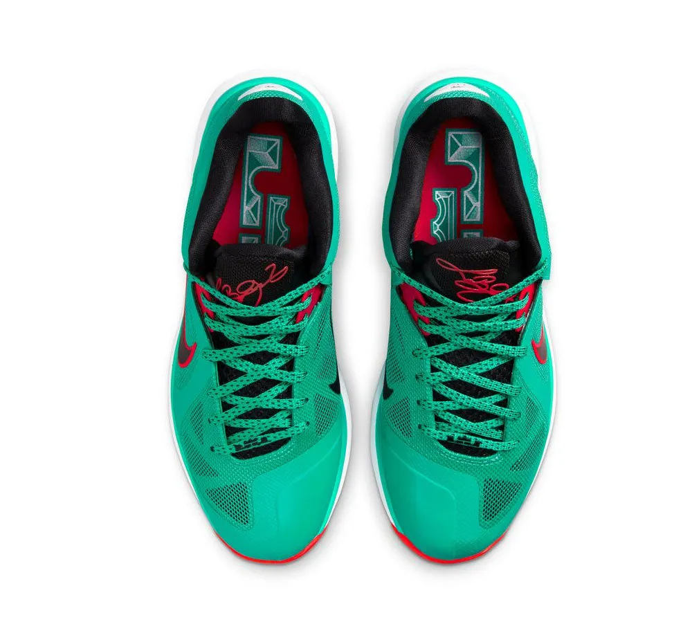 NIKE LEBRON IX LOW